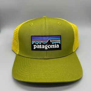 Patagonia P-6 Logo Trucker Hat Graze Green